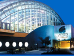 Florida Aquarium Clearwater Beach 