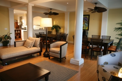 Super Bowl 2009 rental house near Raymond James Stadium