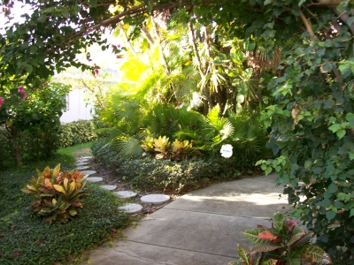 Vacation beach house rentals