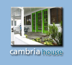 Vacation beach rental home 48 feet from the sand - 5 bedrooms, plus loft, sleeps 15
