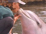 Dolphin encounter