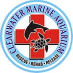 Clearwater Marine Aquarium